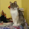 Отзыв от Нелли Жданова